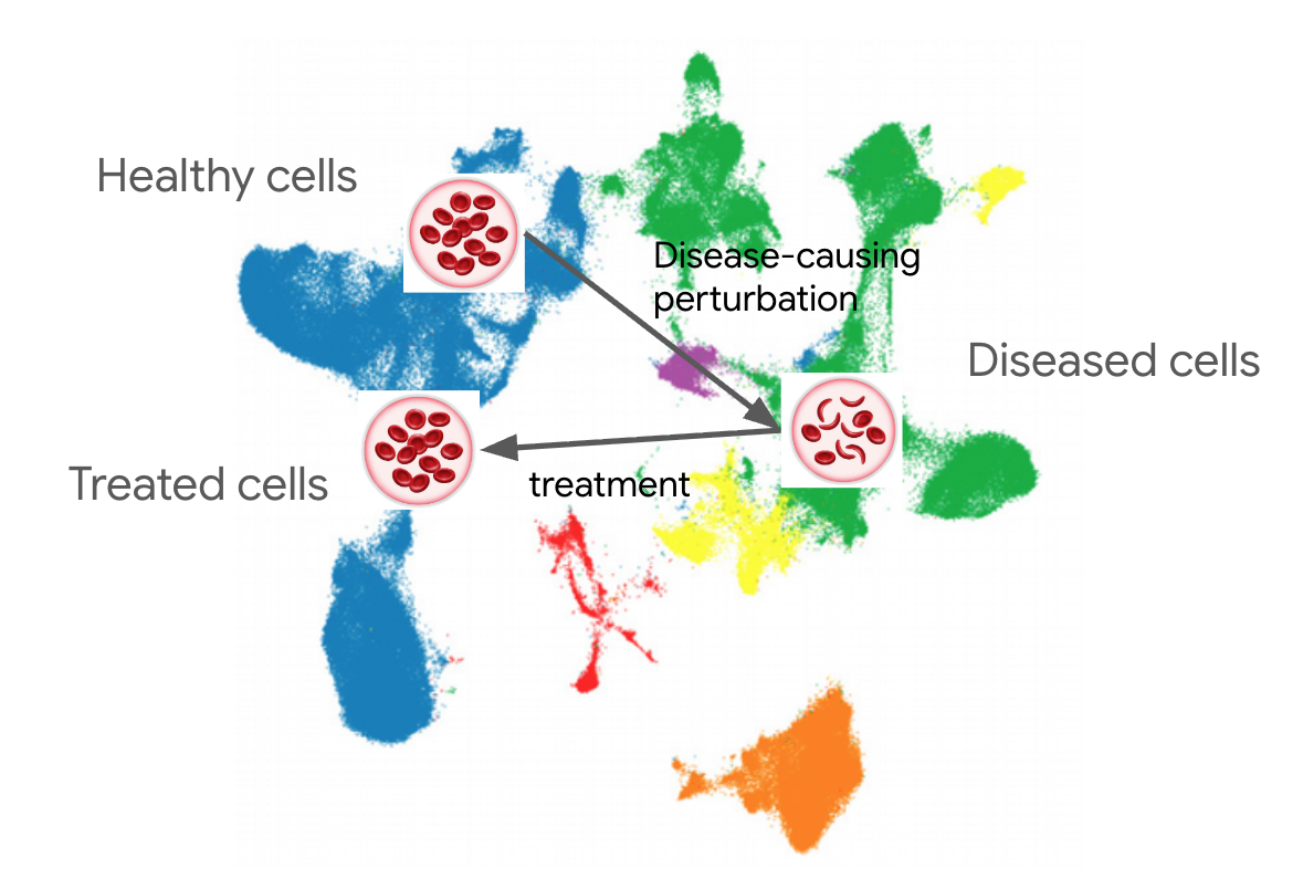 The "map" between disease perturbation and treatment in transcriptomics